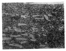 图5　失效模具试样共晶碳化物呈长条状　×400