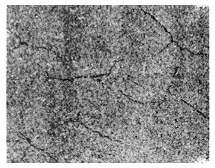 图8　模块磨削表面微裂纹　×400