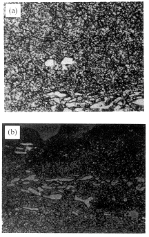 图7　试样补充回火后的金相组织　×40