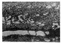 图10　裂纹沿条状碳化物方向扩展　×400
