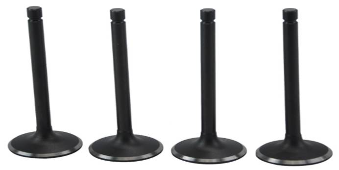 已经表面氮化处理的进气阀座