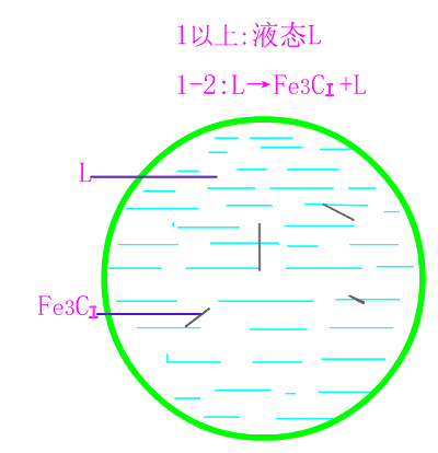 过共晶铸铁平衡结晶示意图.gif