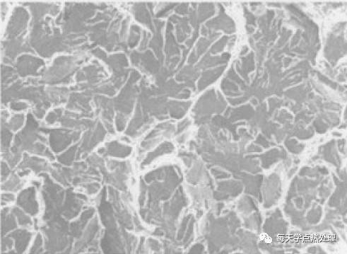 脆性断面SEM.webp.jpg