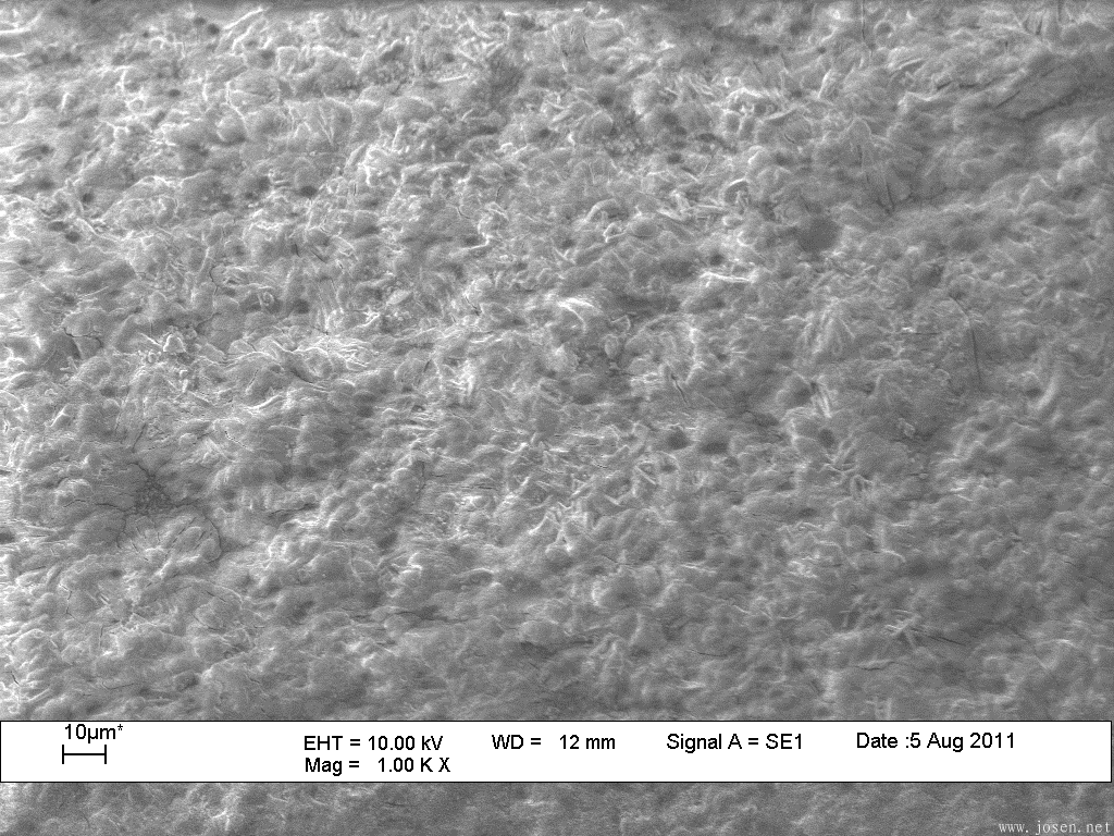 a)传统磷化膜形貌   X1000.png