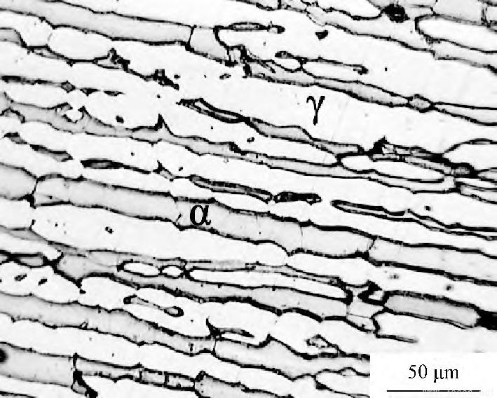 典型2507双相不锈钢显微组织.jpg