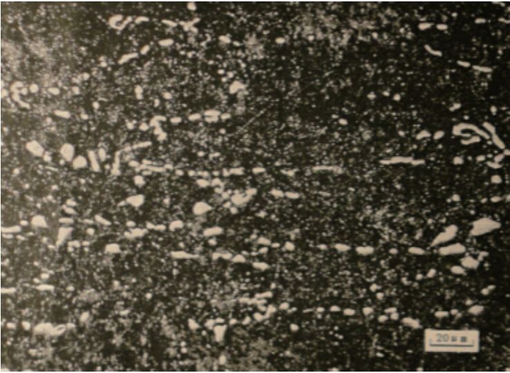 图3  试样中基体组织分布（500 ×）