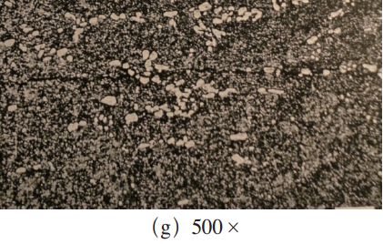 试样中裂纹及组织