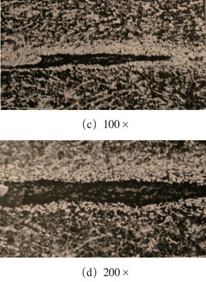 试样中裂纹及组织