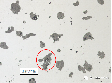 球墨铸铁 团絮+开花状石墨 100×
