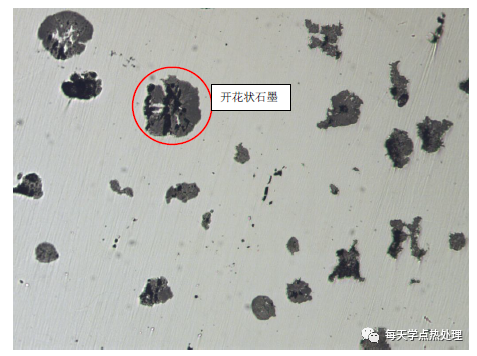 球墨铸铁 石墨 100×