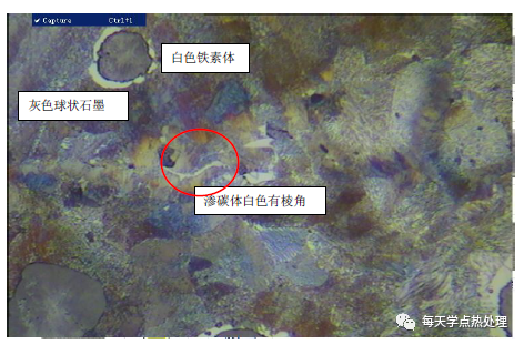球墨铸铁 基体组织 400×
