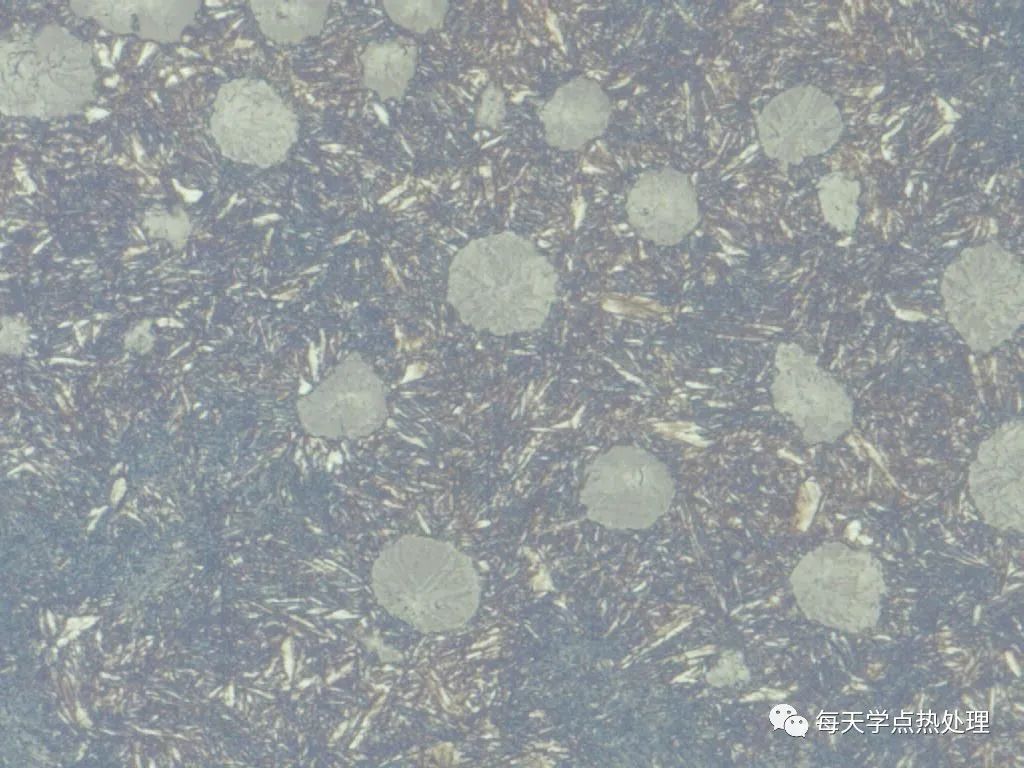 合金球铁基体为保留马氏体位向的回火索氏体 500×