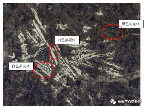 球墨铸铁 基体为珠光体＋莱氏体 +渗碳体 100×