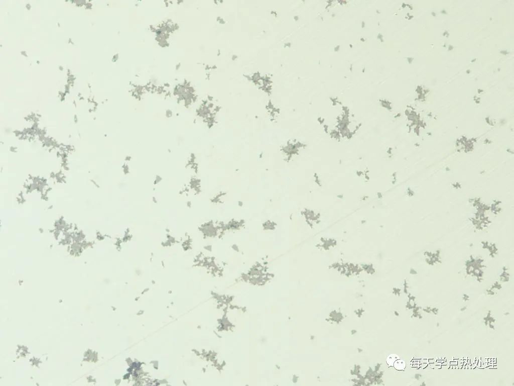 可锻铸铁 石墨 100×