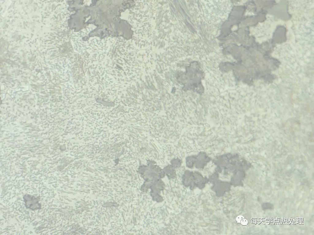 可锻铸铁 基体为珠光体 500×