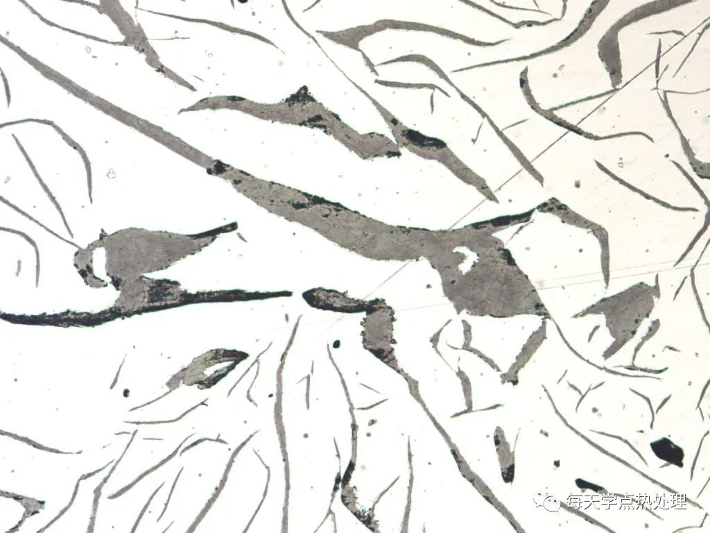 灰口铸铁 C型石墨 100×