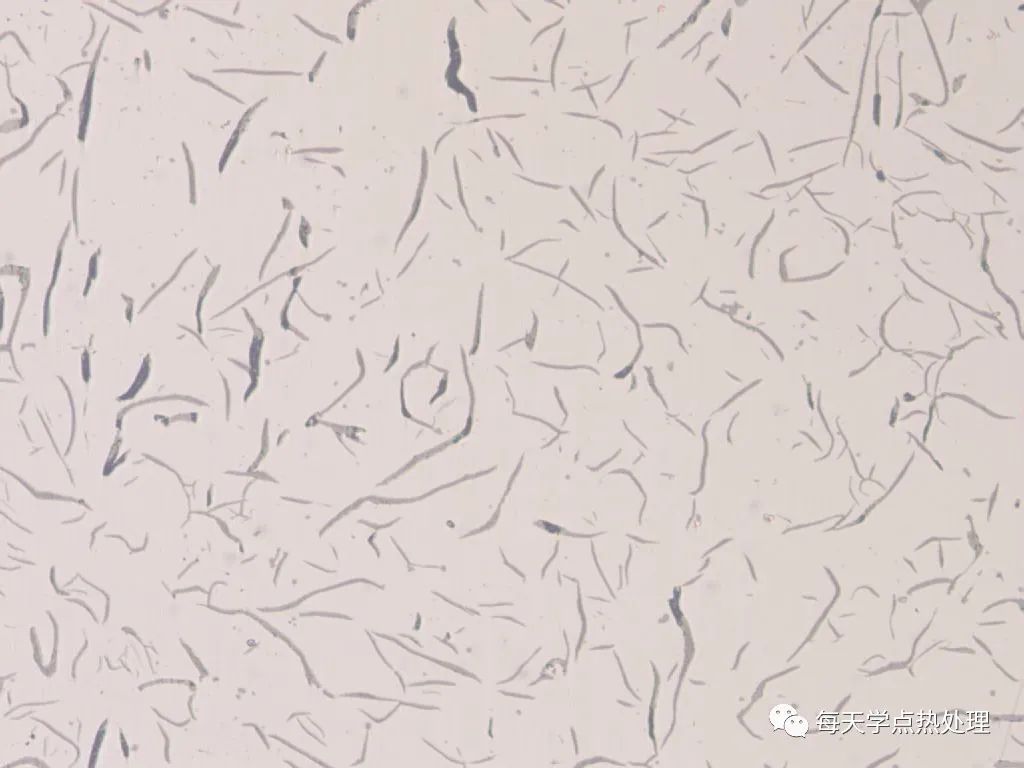 灰口铸铁 A 型石墨 100×