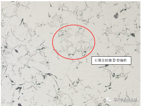 灰口铸铁 A+D 型石墨 100 ×