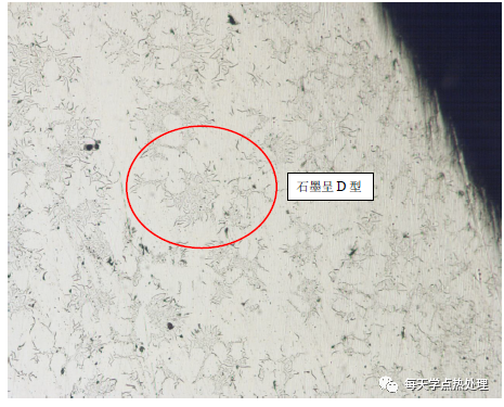 灰口铸铁 D 型石墨 100×