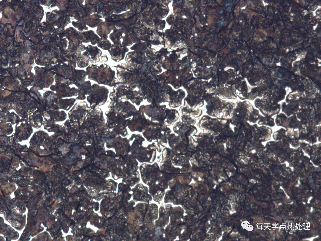 合金铸铁 基体为珠光体+磷共晶 200×