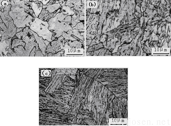 3. 超低碳贝氏体的组织形貌-2.png