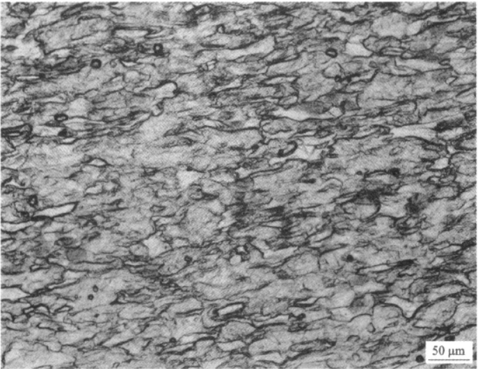 图1-10 TA16合金丝材加工变形组织（600℃，总应变30%），α相被拉长.png