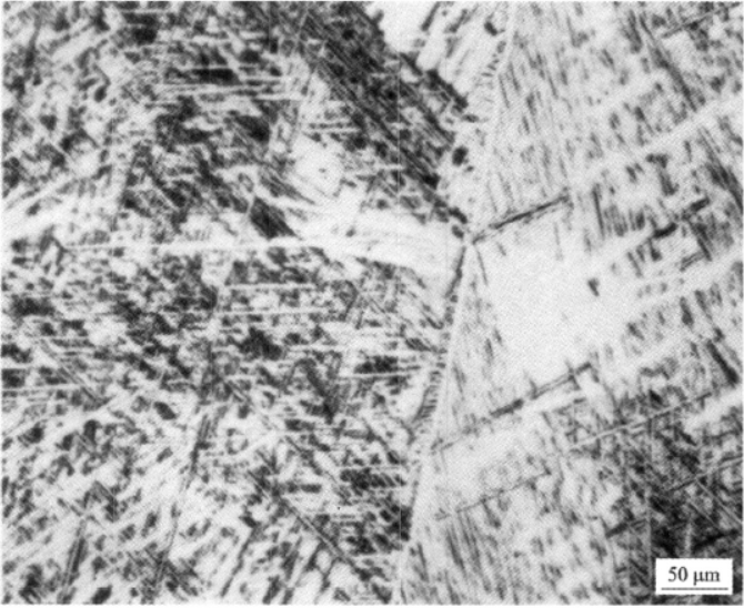 图1-18 TA7合金α相区1170℃30’水淬处理，快冷形成的马氏体.png