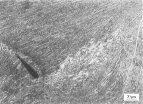 图1-71 BT20铸态经热压缩，变形条件.png