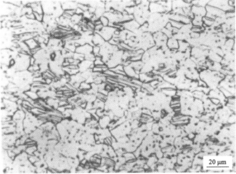 图1-89 Ti3Al2.5V合金冷轧管材经800℃60min真空退火处理（纵向）.png