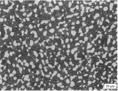 图2-16 TC11合金双态组织.png