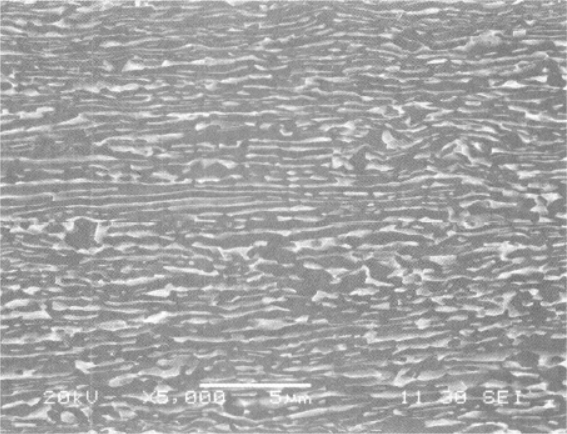 图2-46 SPZ合金板材加工态（纵向）：拉长的变形组织（SEM）.png