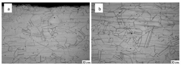 图6  904L热轧态固溶处理后显微组织（a，边部；b，心部）.png