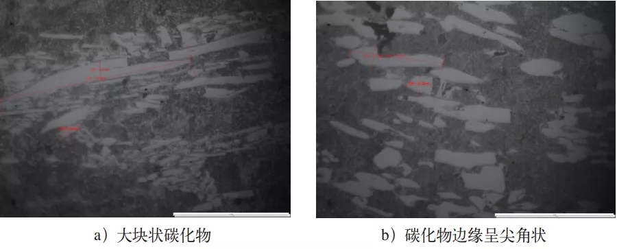 图5 原料组织(500×).webp.jpg